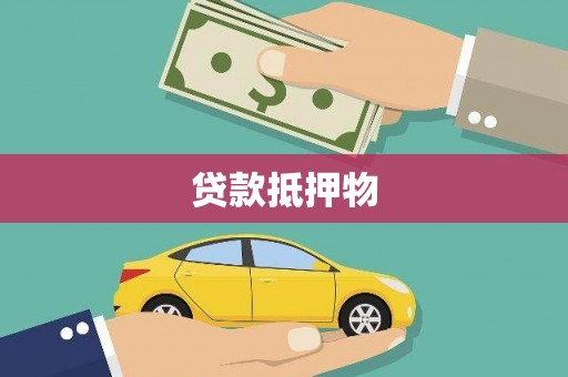 右江贷款抵押物