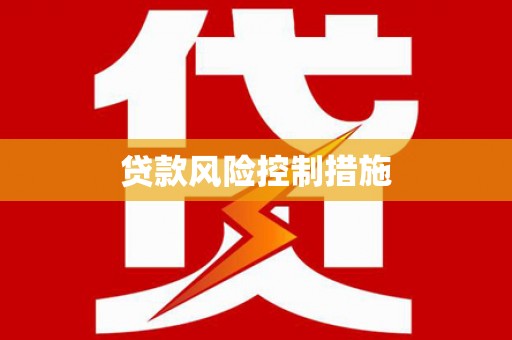 右江贷款风险控制措施