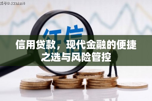 右江信用贷款，现代金融的便捷之选与风险管控