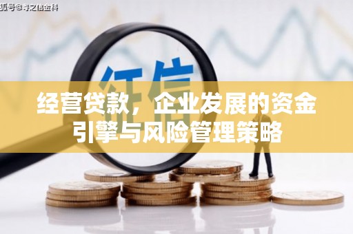 右江经营贷款，企业发展的资金引擎与风险管理策略