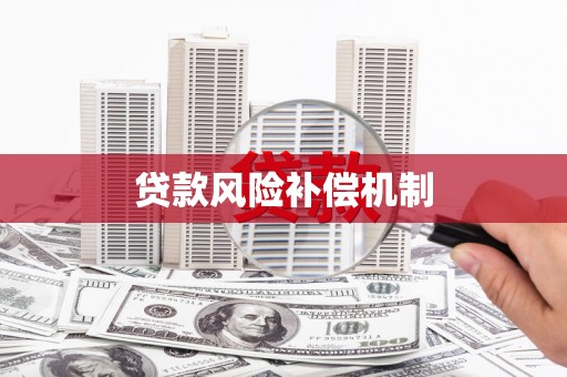 右江贷款风险补偿机制