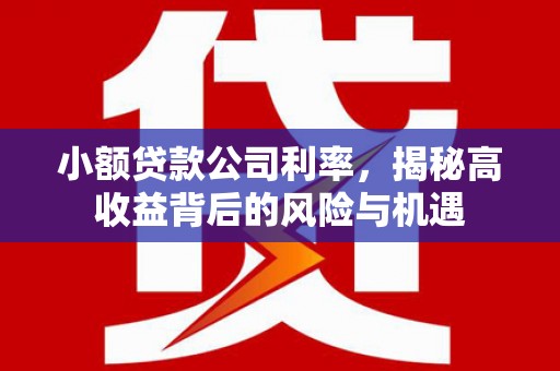 右江小额贷款公司利率，揭秘高收益背后的风险与机遇