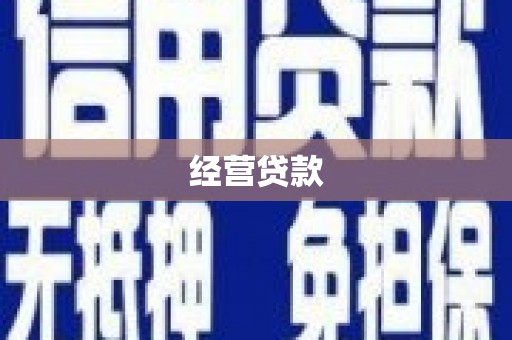 右江经营贷款