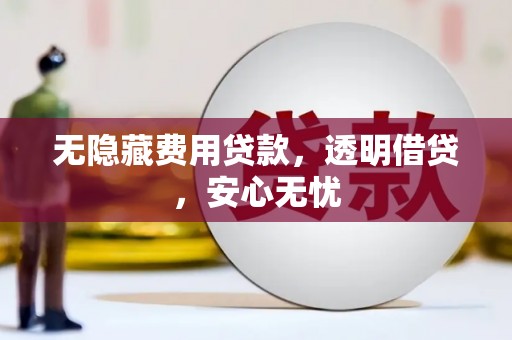 右江无隐藏费用贷款，透明借贷，安心无忧
