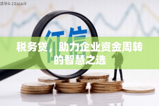 右江税务贷，助力企业资金周转的智慧之选