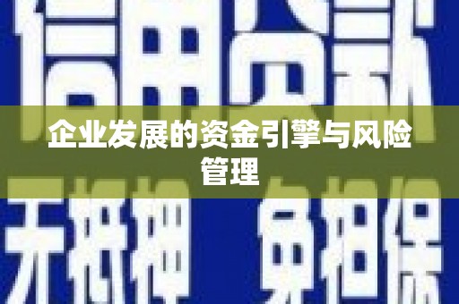 右江企业发展的资金引擎与风险管理