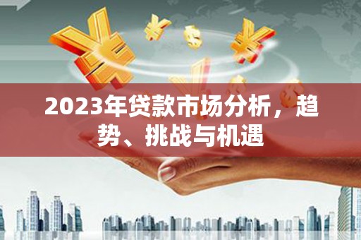 右江2023年贷款市场分析，趋势、挑战与机遇