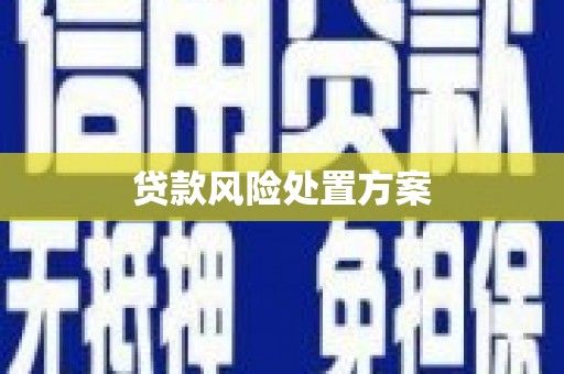 右江贷款风险处置方案