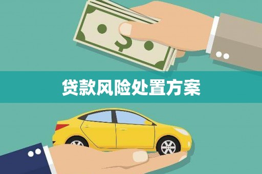 右江贷款风险处置方案