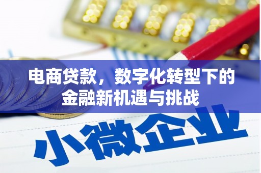 右江电商贷款，数字化转型下的金融新机遇与挑战