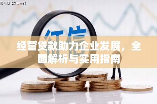 右江经营贷款助力企业发展，全面解析与实用指南