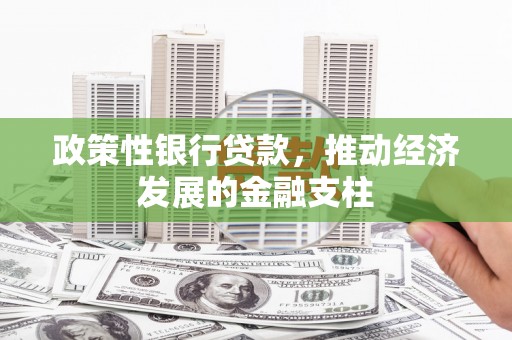 右江政策性银行贷款，推动经济发展的金融支柱