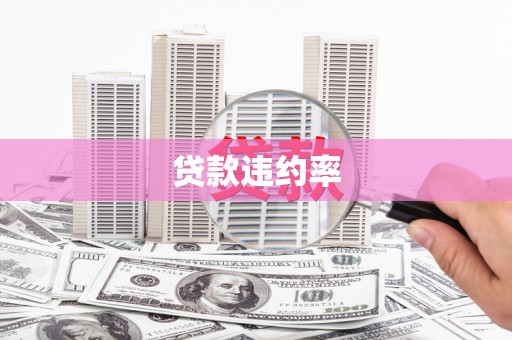 右江贷款违约率