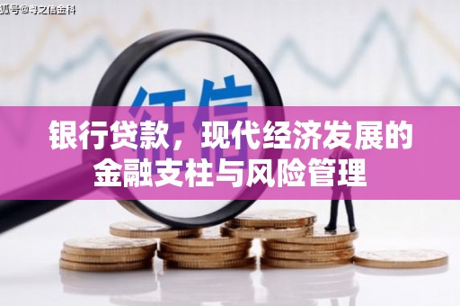 右江银行贷款，现代经济发展的金融支柱与风险管理
