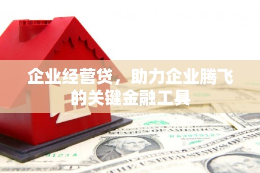 右江企业经营贷，助力企业腾飞的关键金融工具