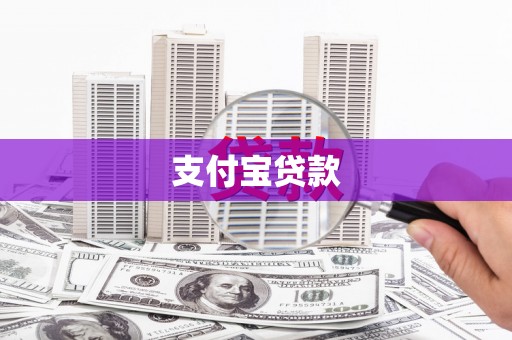 右江支付宝贷款
