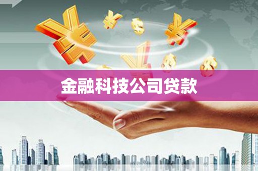 右江金融科技公司贷款