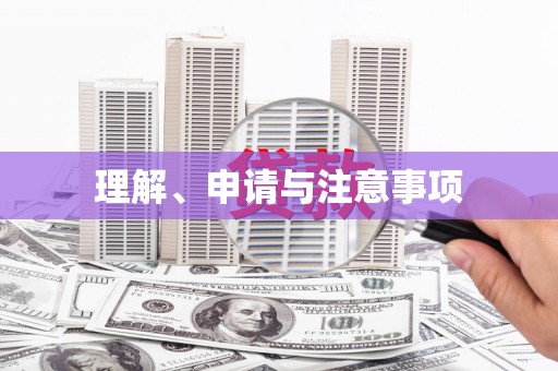 右江理解、申请与注意事项