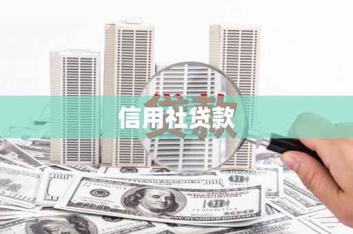右江信用社贷款