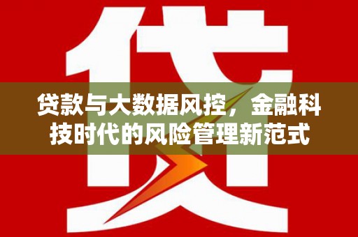 右江贷款与大数据风控，金融科技时代的风险管理新范式