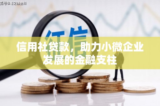 右江信用社贷款，助力小微企业发展的金融支柱
