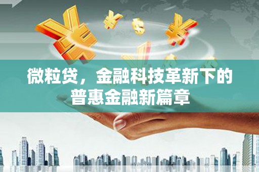 右江微粒贷，金融科技革新下的普惠金融新篇章