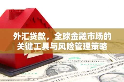 右江外汇贷款，全球金融市场的关键工具与风险管理策略