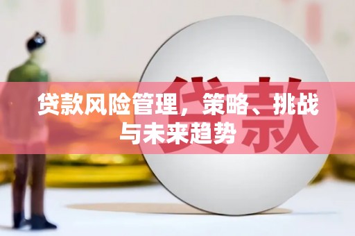 右江贷款风险管理，策略、挑战与未来趋势