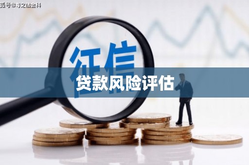 右江贷款风险评估