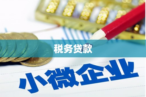 右江税务贷款