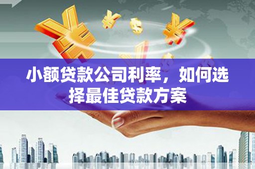 右江小额贷款公司利率，如何选择最佳贷款方案