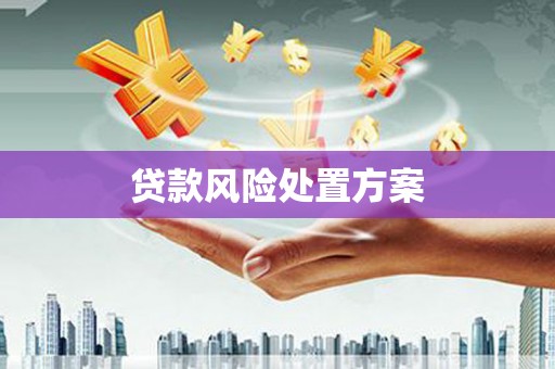 右江贷款风险处置方案
