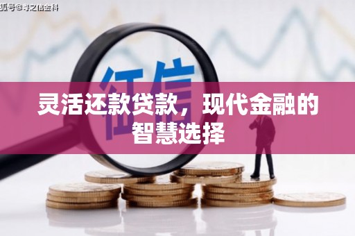 右江灵活还款贷款，现代金融的智慧选择
