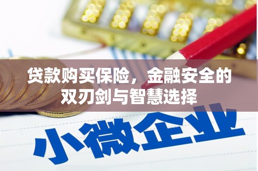 右江贷款购买保险，金融安全的双刃剑与智慧选择