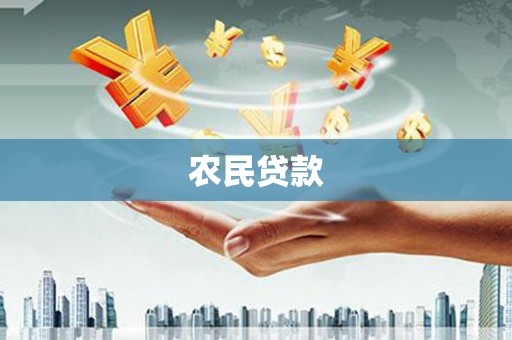 右江农民贷款