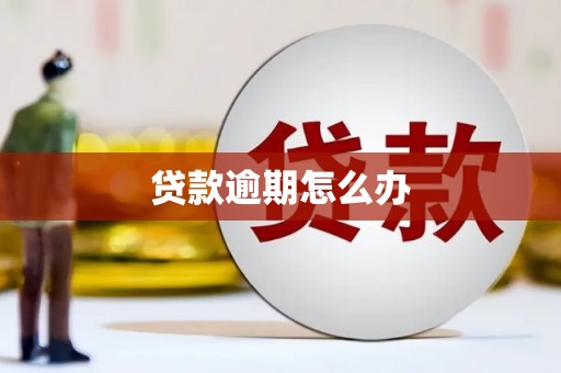 右江贷款逾期怎么办