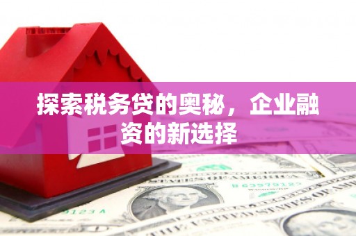 右江探索税务贷的奥秘，企业融资的新选择
