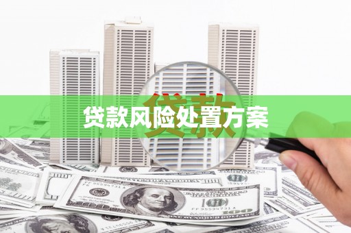 右江贷款风险处置方案