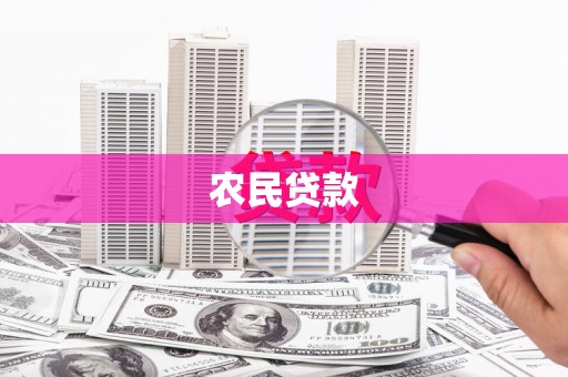 右江农民贷款