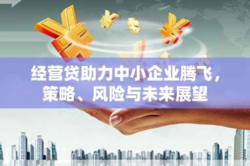 右江经营贷助力中小企业腾飞，策略、风险与未来展望