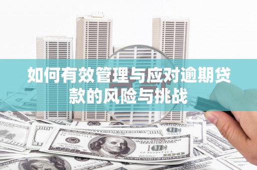 右江如何有效管理与应对逾期贷款的风险与挑战