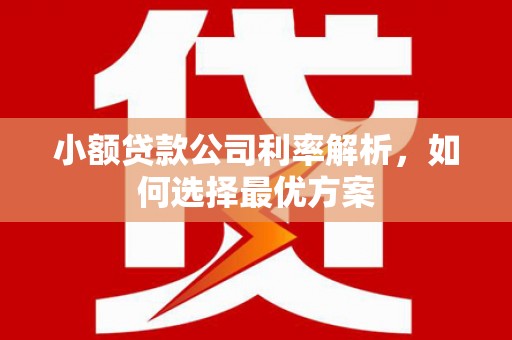 右江小额贷款公司利率解析，如何选择最优方案