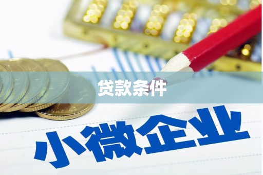 右江贷款条件