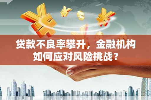 右江贷款不良率攀升，金融机构如何应对风险挑战？