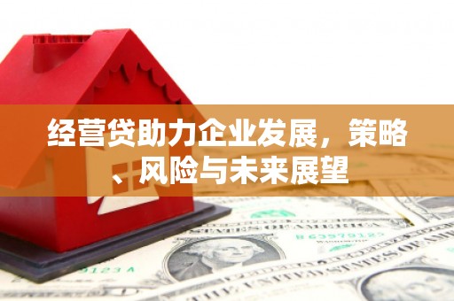 右江经营贷助力企业发展，策略、风险与未来展望