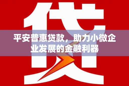 右江平安普惠贷款，助力小微企业发展的金融利器