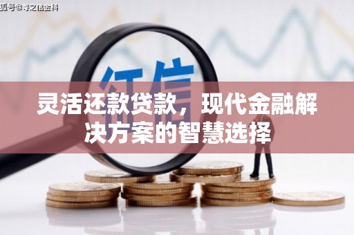 右江灵活还款贷款，现代金融解决方案的智慧选择
