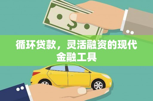 右江循环贷款，灵活融资的现代金融工具