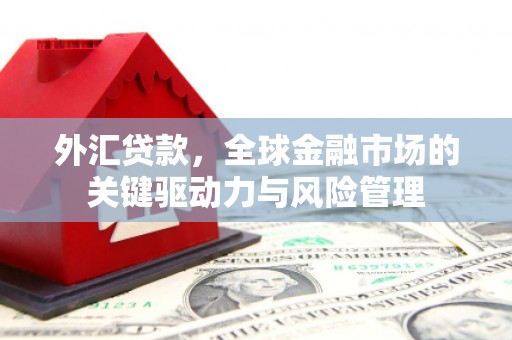 右江外汇贷款，全球金融市场的关键驱动力与风险管理