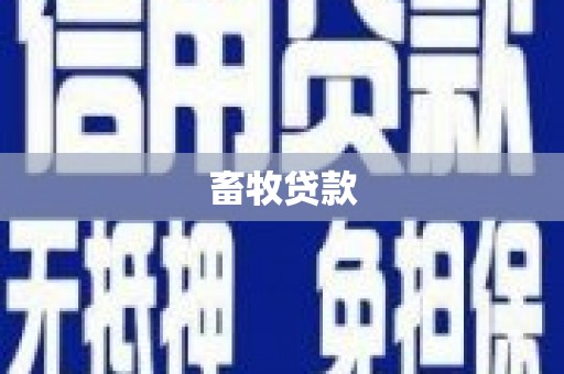 右江畜牧贷款